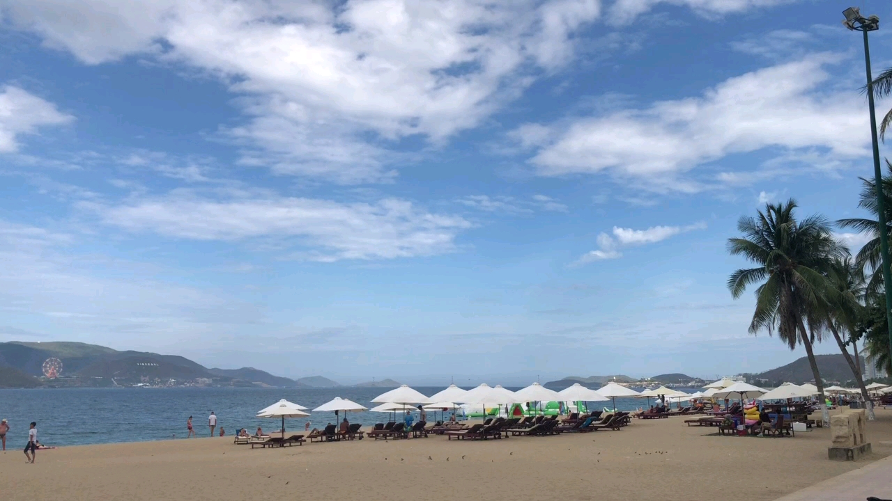 博民生物科技 第296页