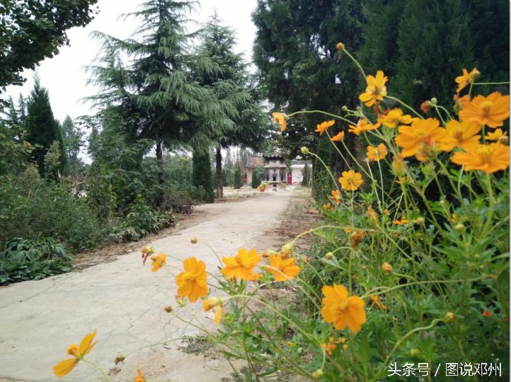 邓州西湖最新动态,邓州西湖，最新动态引领城市绿色生活新风尚，邓州西湖最新动态，引领城市绿色生活新风尚