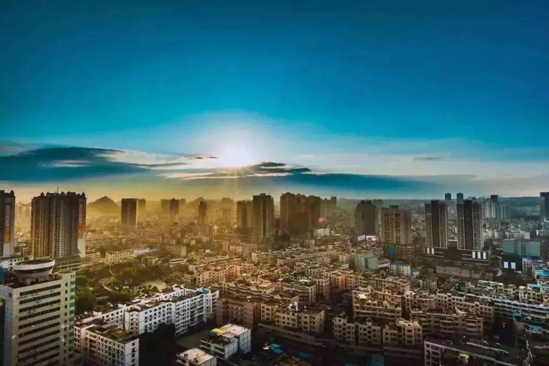 博民生物科技 第273页