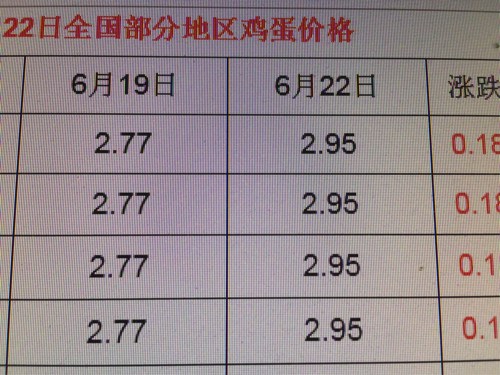 今日最新鸡蛋价格,今日最新鸡蛋价格——市场波动下的民生观察，今日鸡蛋价格动态，市场波动中的民生观察