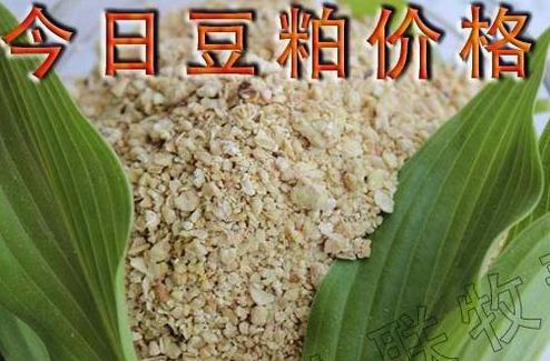 博民生物科技 第222页