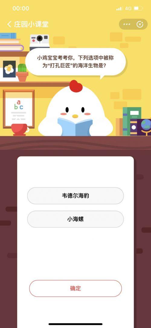 今日最新小鸡答案是,今日最新小鸡答案，探索知识的奥秘与乐趣，今日最新小鸡答案揭秘，探索知识的奥秘与乐趣之旅