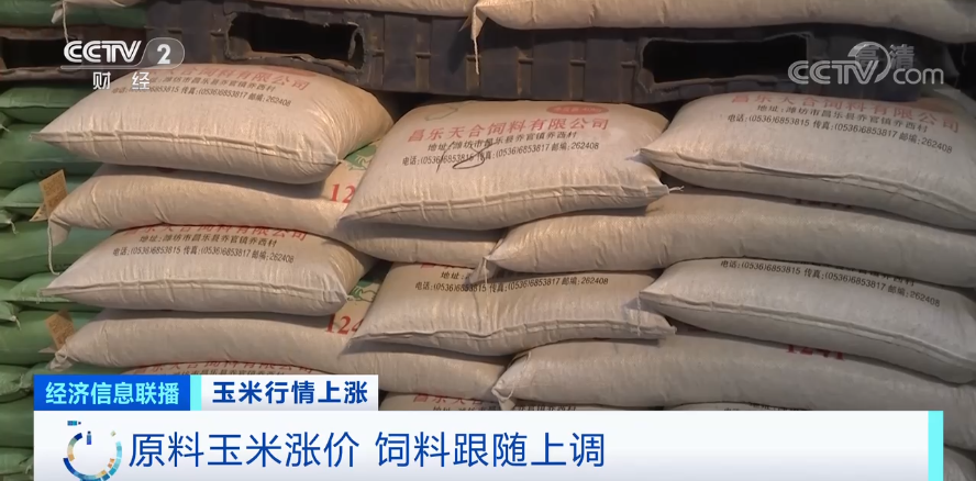 鹅毛收购价格,鹅毛收购价格背后的故事，鹅毛收购价格揭秘，背后的故事与真相探索