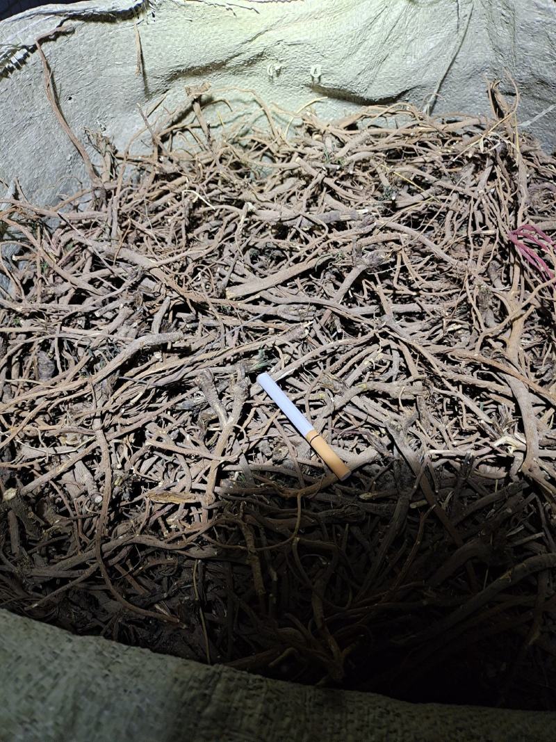 医疗器械 第44页